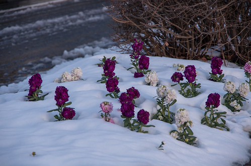th_140209_K5II1845
