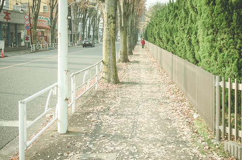 141124_K5II4570