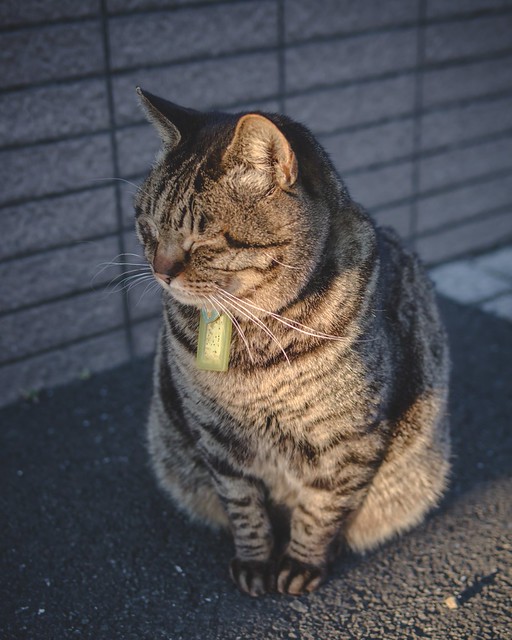 150131_K5II5260