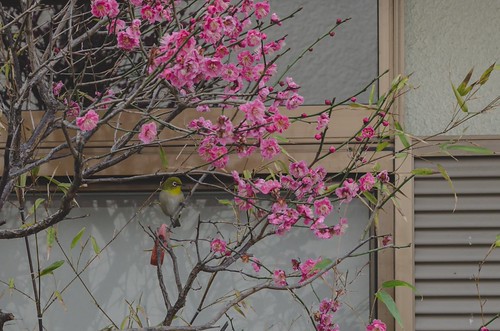 150223_K5II5690