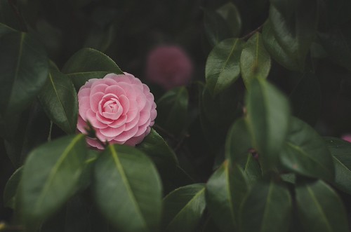 150322_K5II6079
