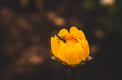 150408_K5II6282