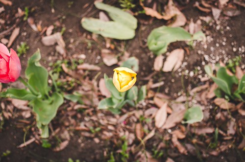 150408_K5II6299