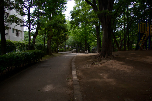 DSC_5510