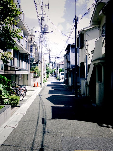 th_IMGP0284