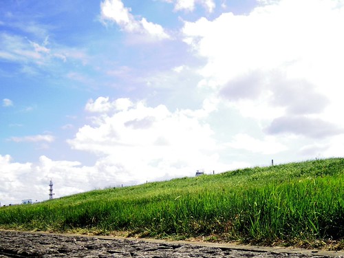 th_IMGP0029
