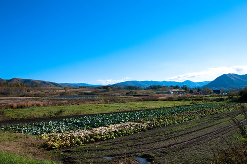 北海道_02