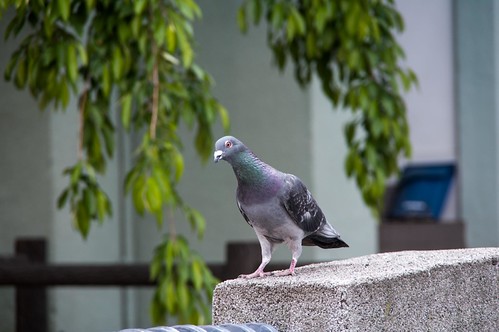 th_130505_K7PX0356