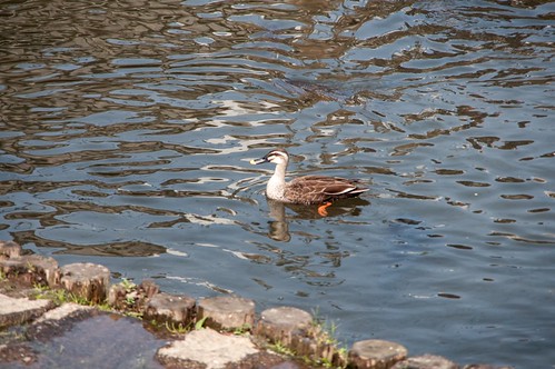 th_130505_K7PX0270