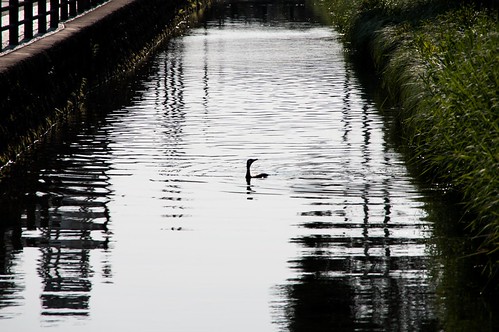 th_130505_K7PX0353