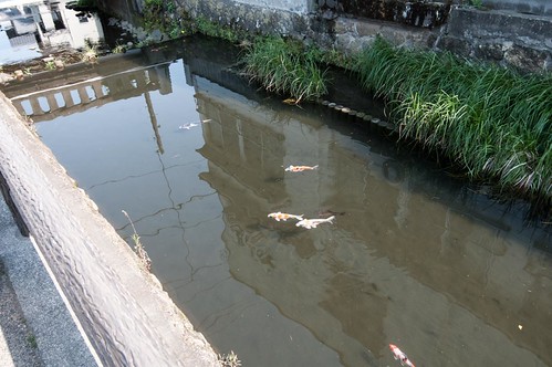 th_130505_K7PX0266